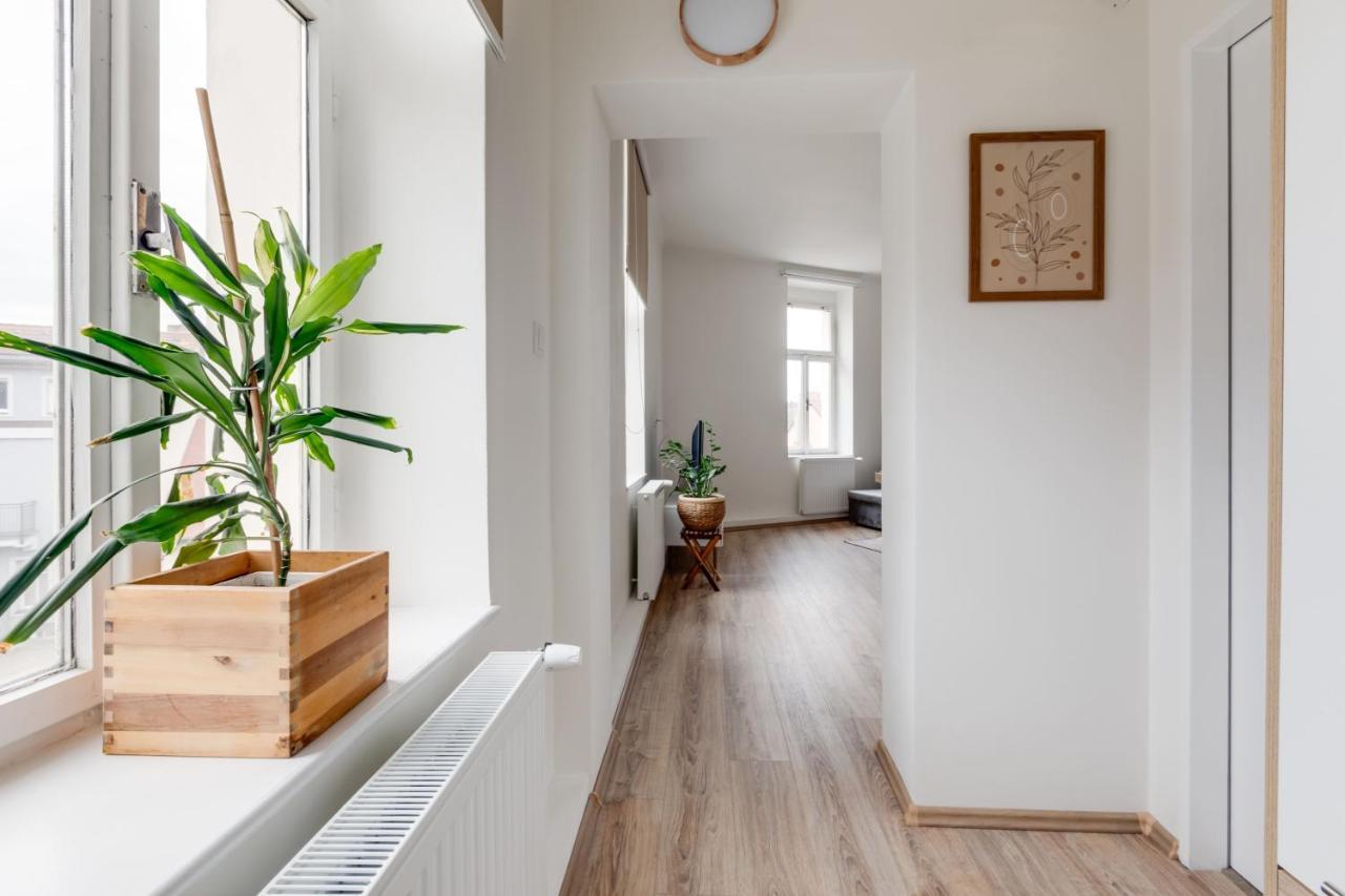 Modern, Bright And Spacious Apartment プラハ エクステリア 写真