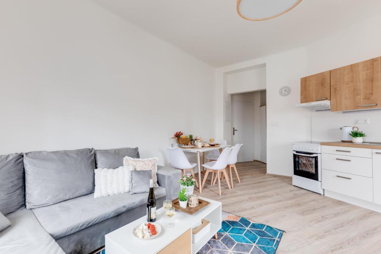 Modern, Bright And Spacious Apartment プラハ エクステリア 写真