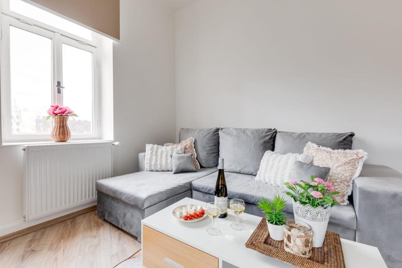 Modern, Bright And Spacious Apartment プラハ エクステリア 写真