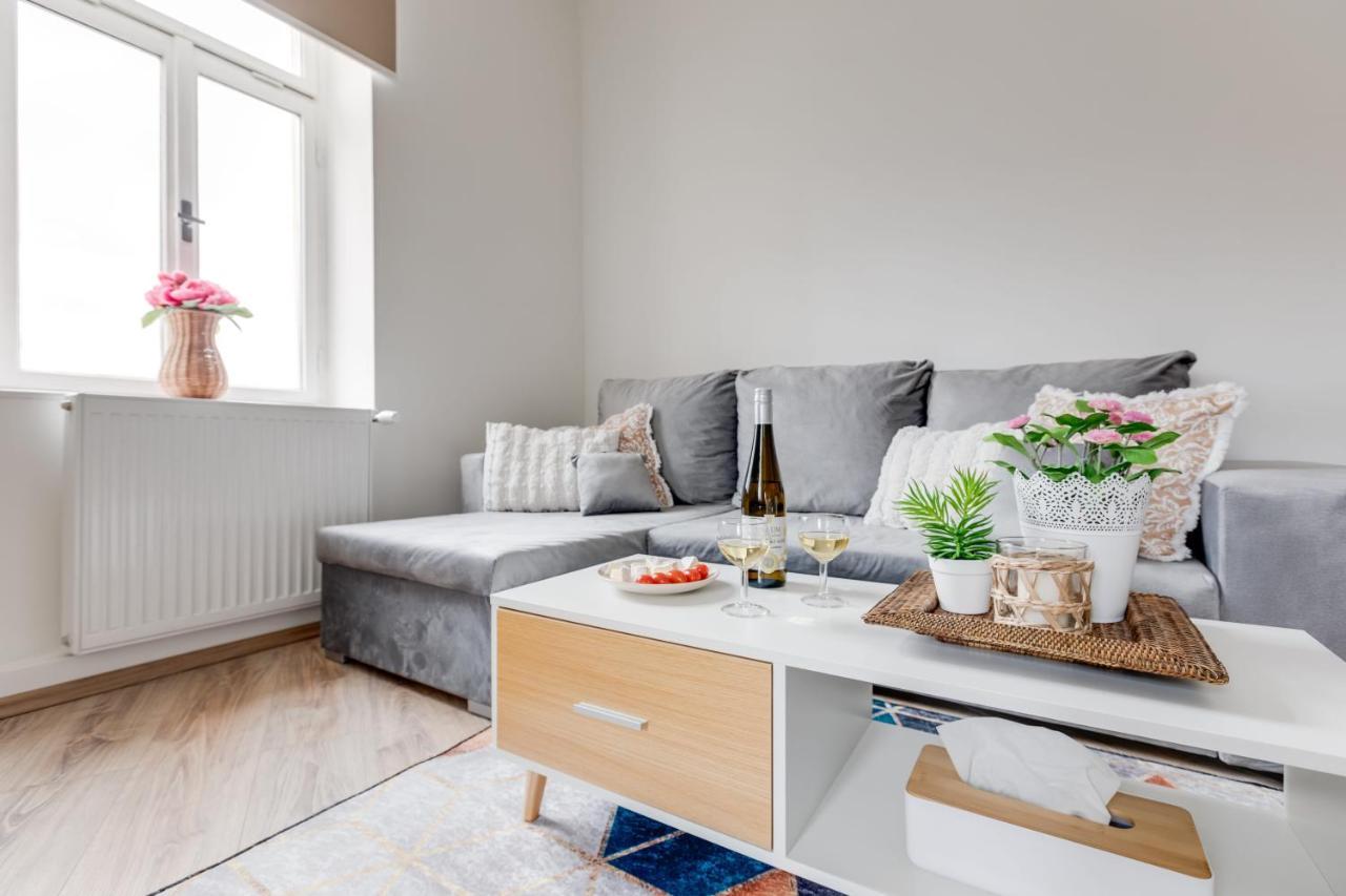 Modern, Bright And Spacious Apartment プラハ エクステリア 写真