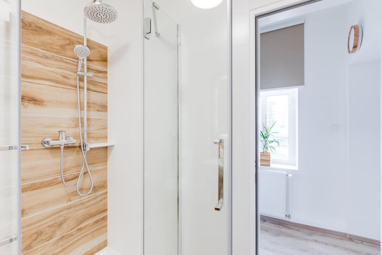 Modern, Bright And Spacious Apartment プラハ エクステリア 写真